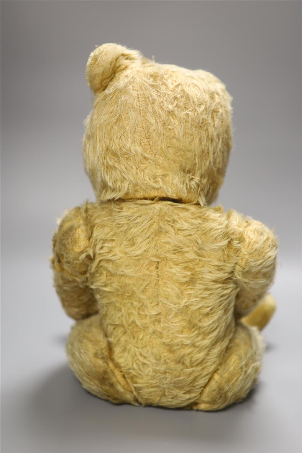 A mid 1920s Teddy Bear with photo of original owner